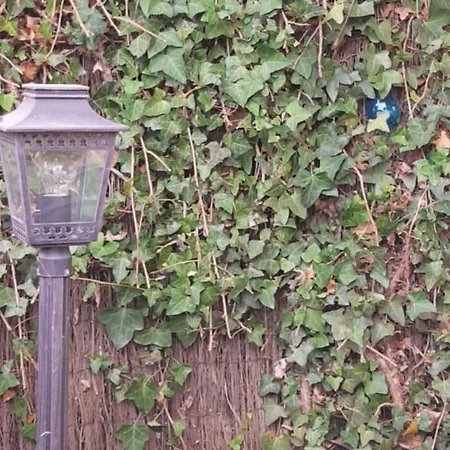 Type 2 Hypercentre 100 M De La