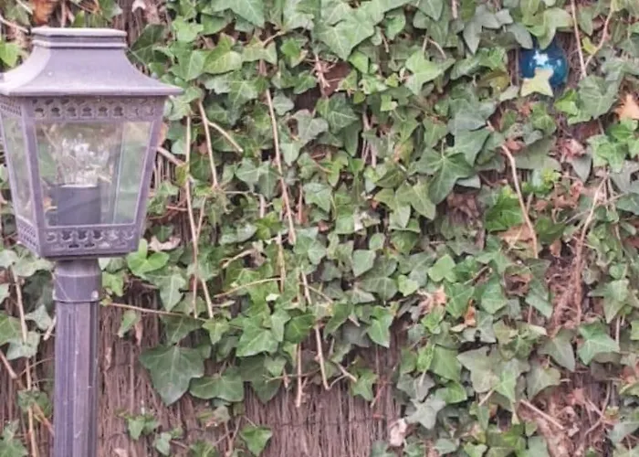 Type 2 Hypercentre 100 M De La